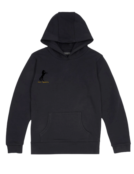 Men's Hoodie